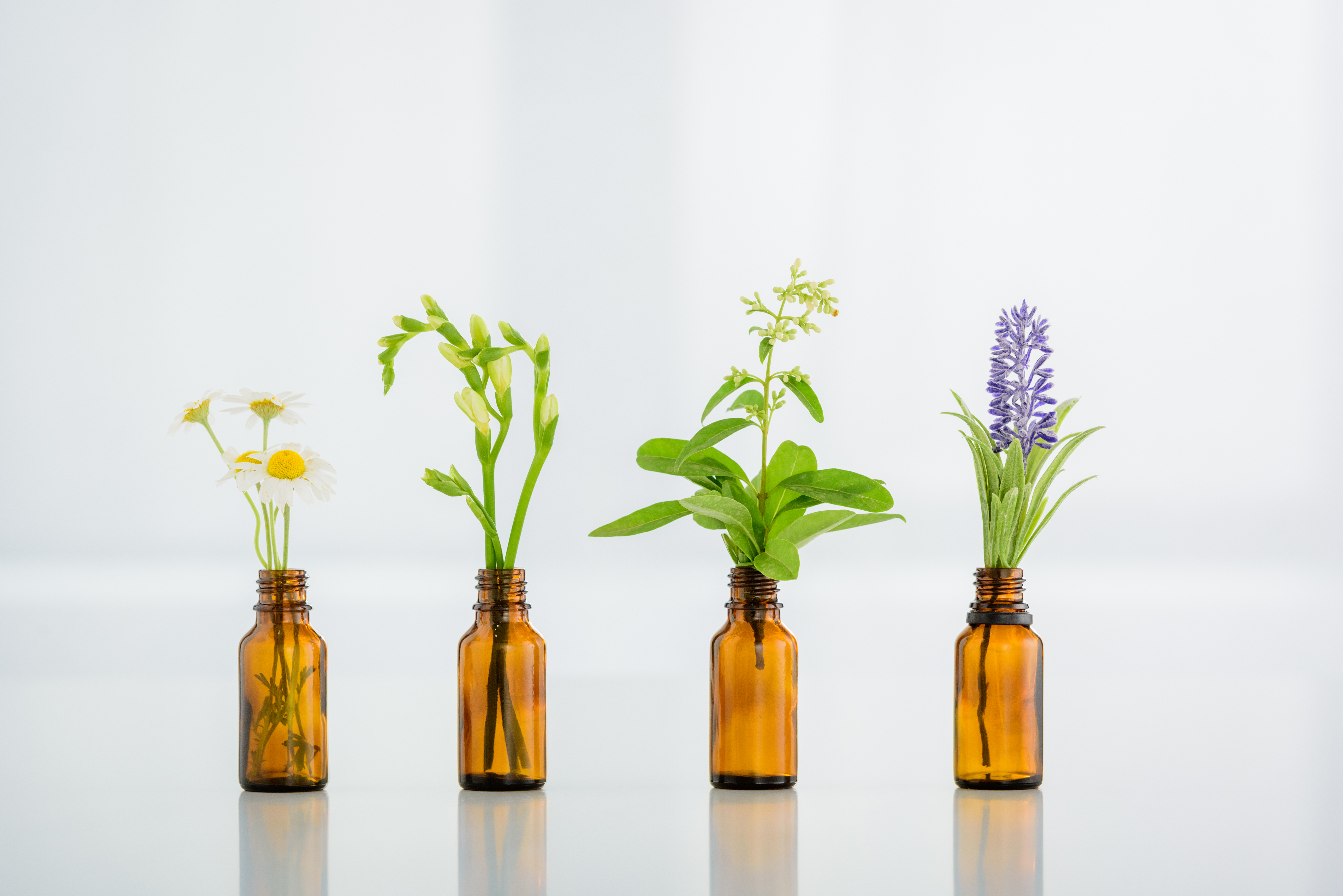 La Fitoterapia como aliada de Fiit Concept