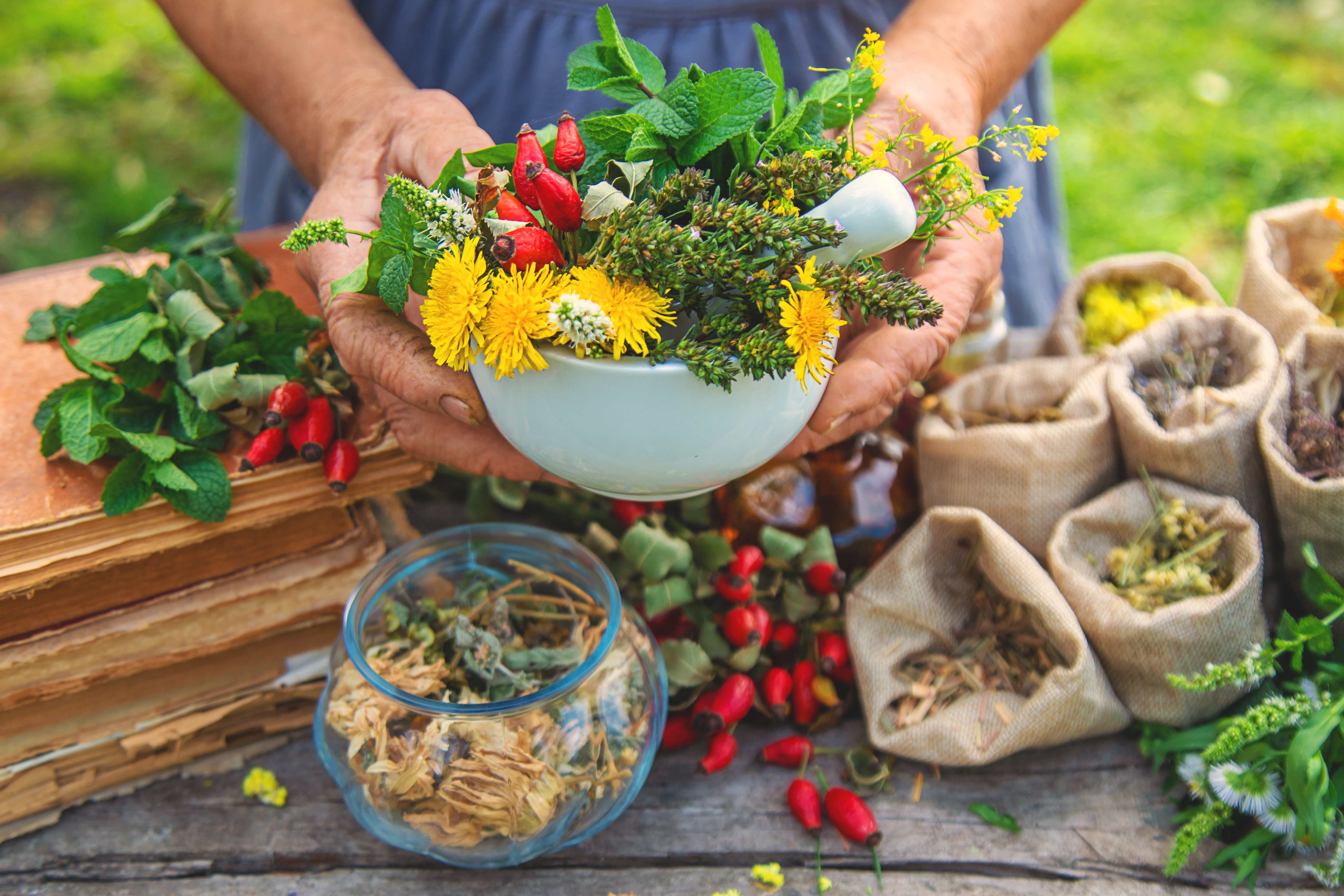 ¿Cómo las Plantas Pueden Ayudar a Regular el Organismo