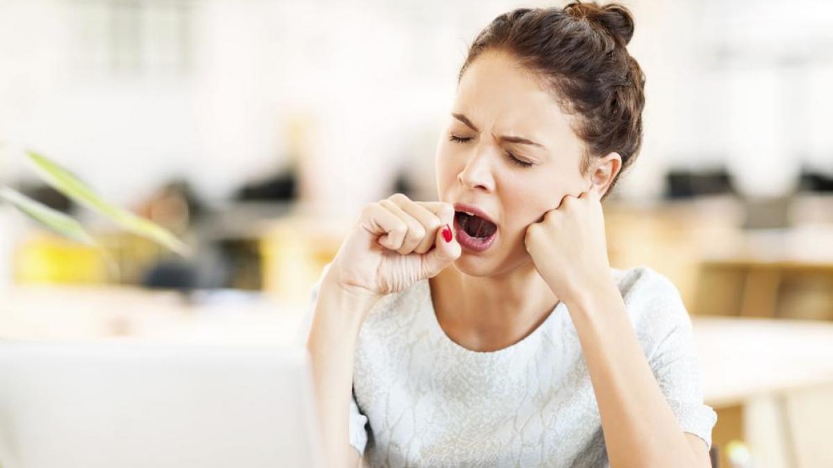 ¿Te quedas sin energía a media tarde? Cómo activar el cuerpo y recuperar un ritmo diario más estable