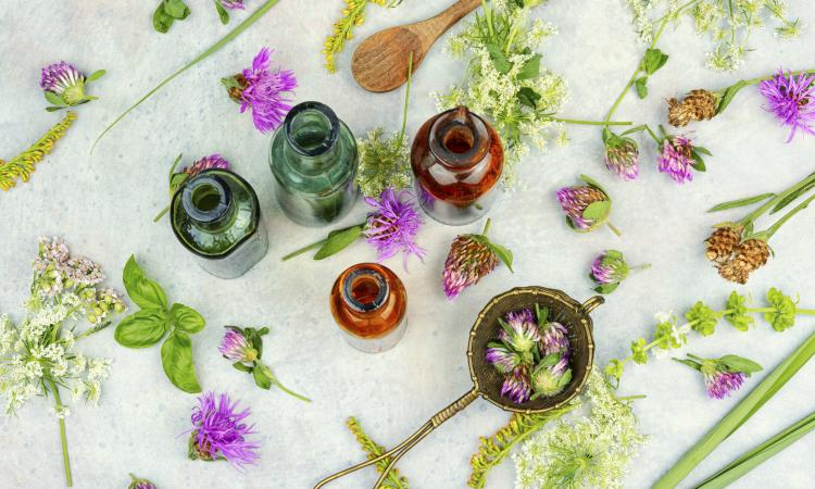 Terapia Manual, Nutrición y Fitoterapia: Cómo Abordar el Dolor desde un Enfoque Global