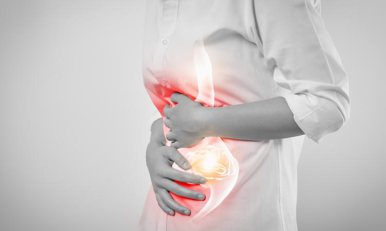 El Papel del Nervio Vago en la Gastritis y el Dolor Musculoesquelético