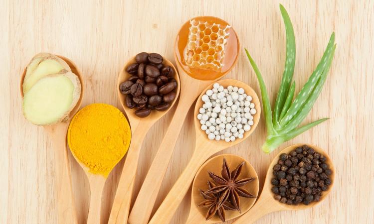 Plantas Medicinales para la Gastritis: Alternativas Naturales para Proteger el Estómago