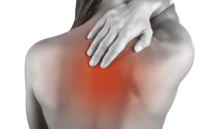 ¿Dolor interescapular que no se va? El papel del hígado en tu espalda