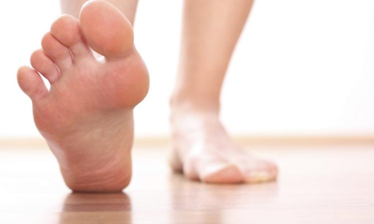Fascitis plantar y su relación con el sistema digestivo según Fiit Concept